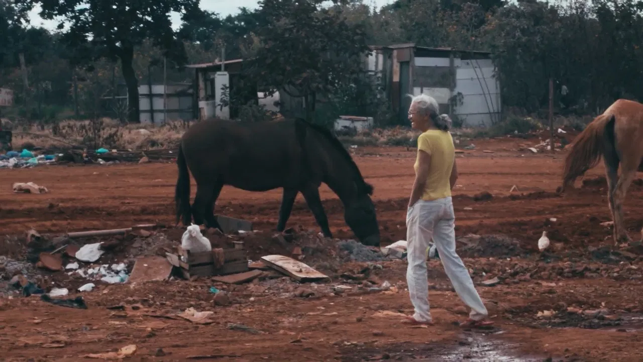 Maluco Voador: Além do Som backdrop