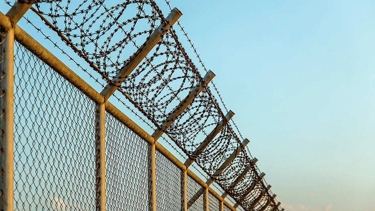 Life on Parole backdrop