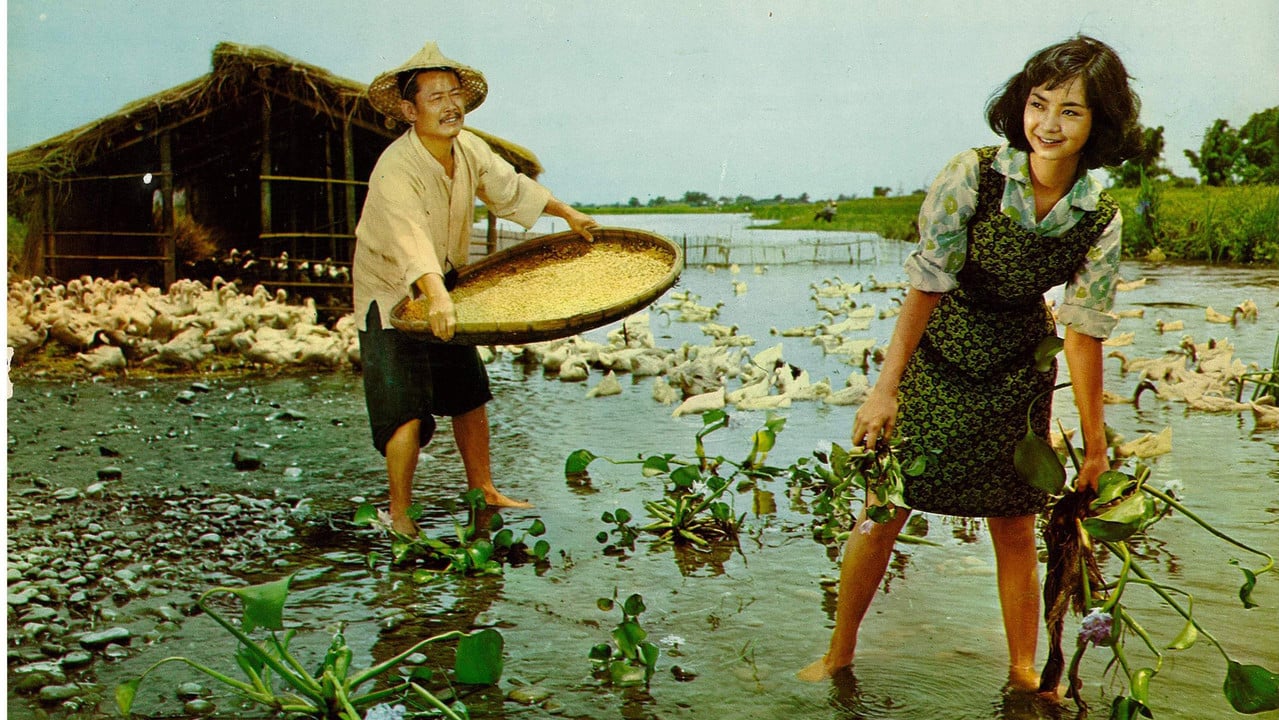 Beautiful Duckling backdrop