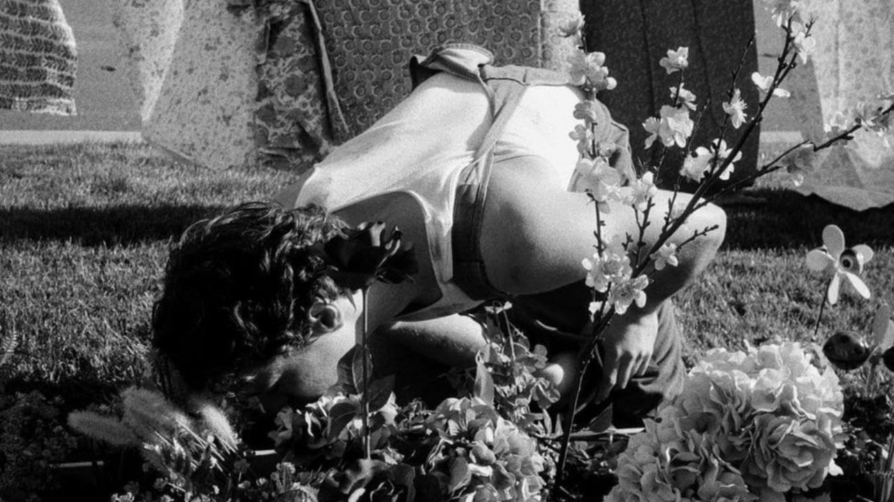 blue, like green backdrop