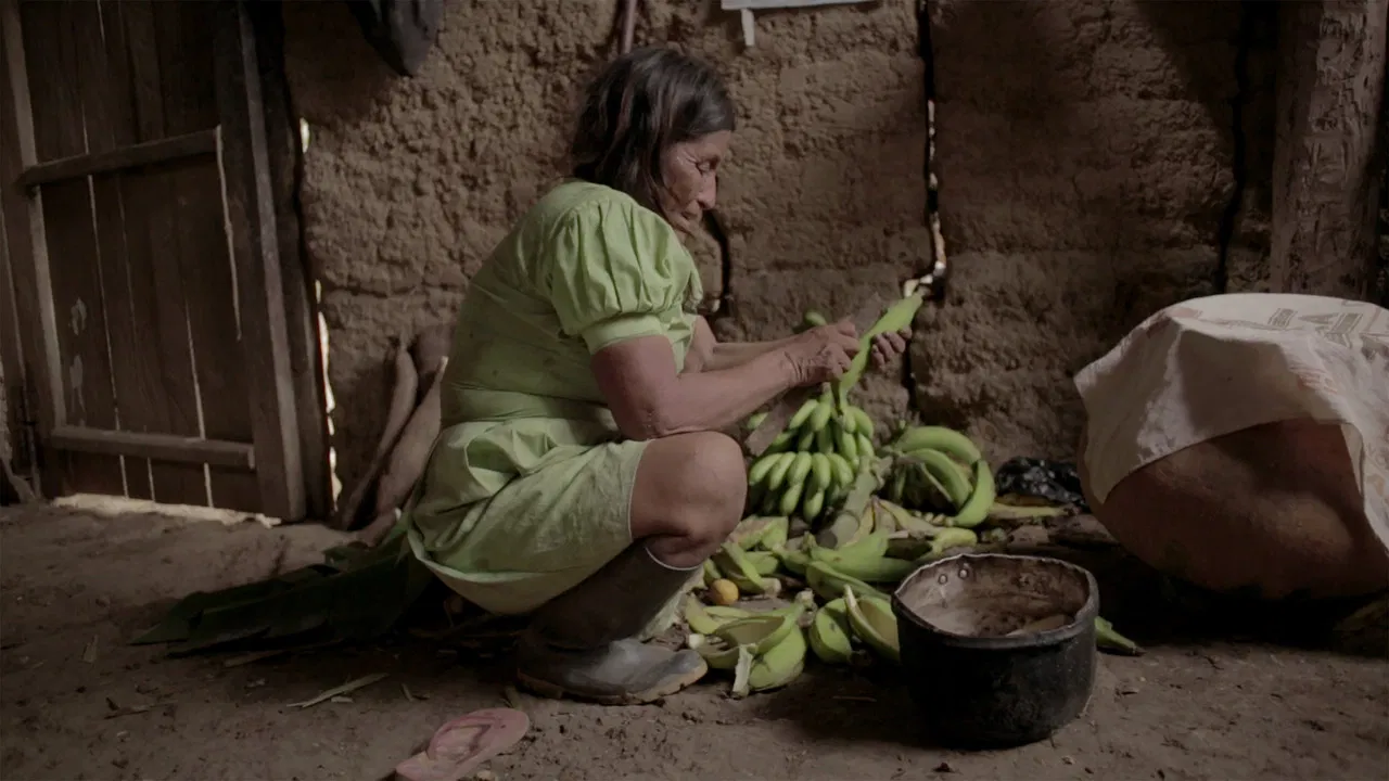 Green River: The Time of the Yakurunas backdrop