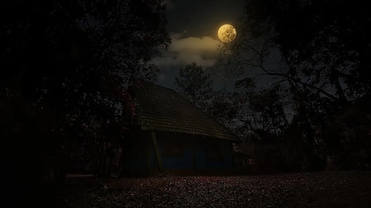 Algo sobre Ilda backdrop