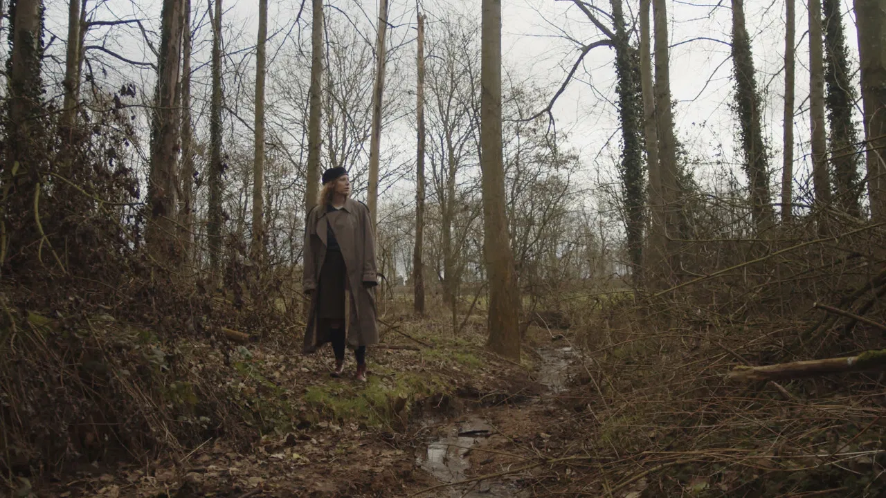 The Freedom of Herds backdrop