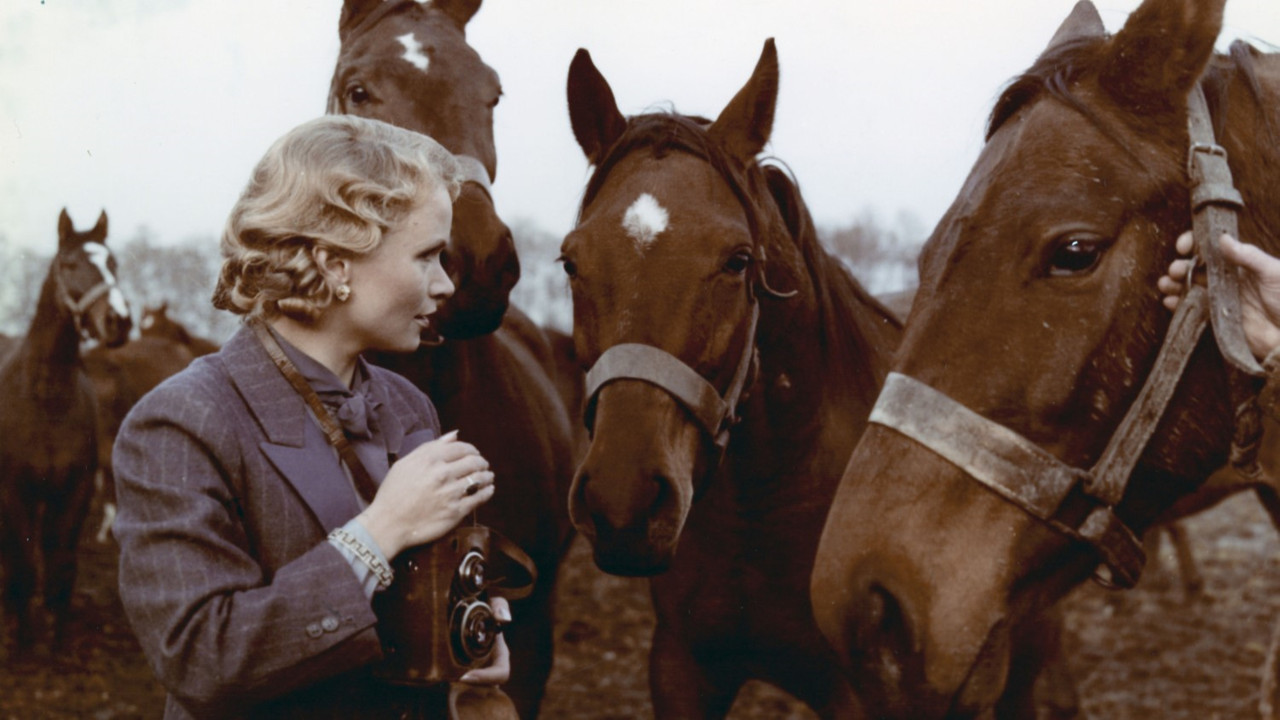 Wherever You Are... backdrop