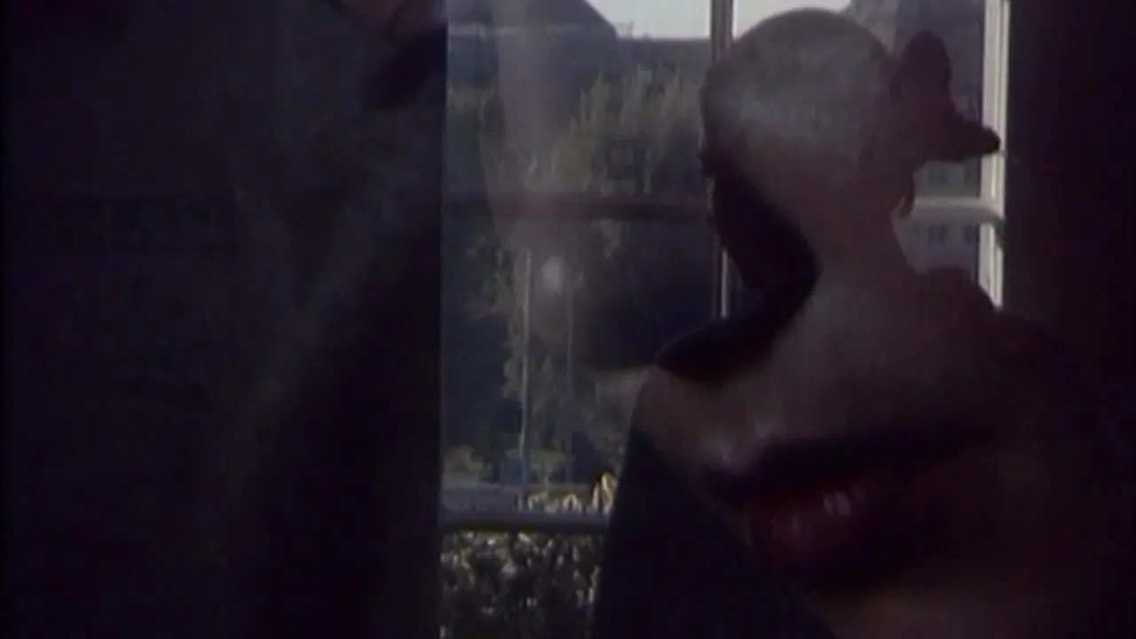 Kinderkrieg & Kinderfrieden oder J.S. Bach: Die Kunst der Fuge backdrop