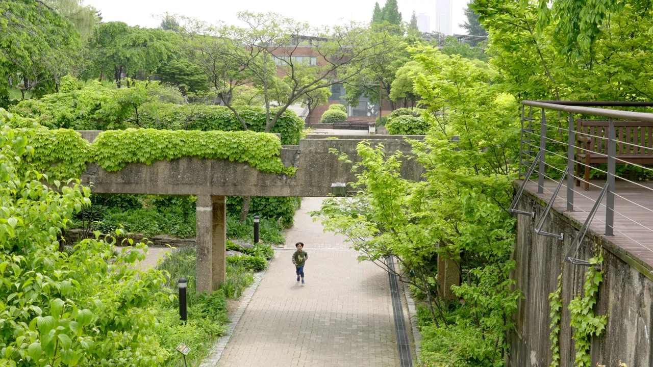 Poetry on Land backdrop