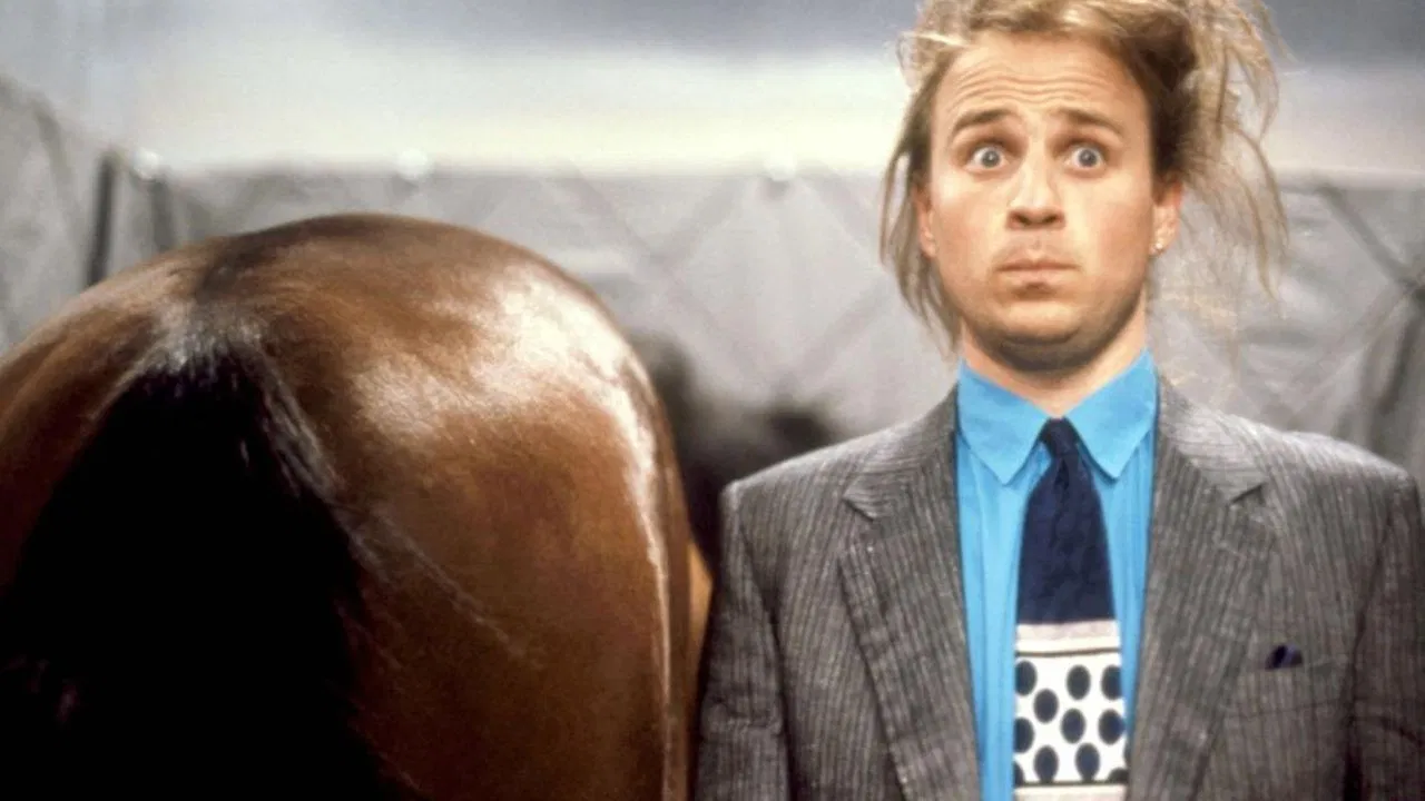 Hot to Trot backdrop