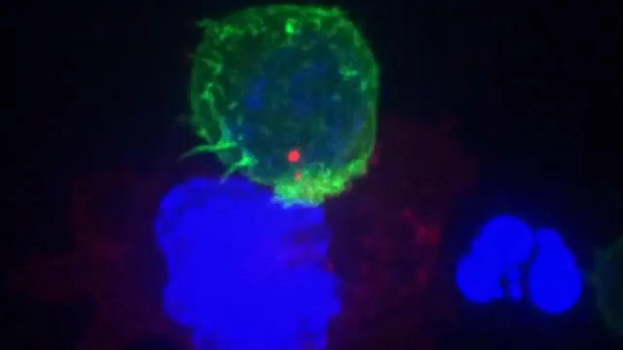 Failed Experiments backdrop