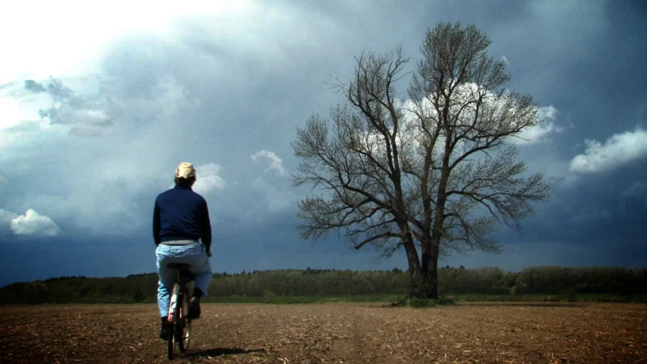 Against a Persian Mink backdrop