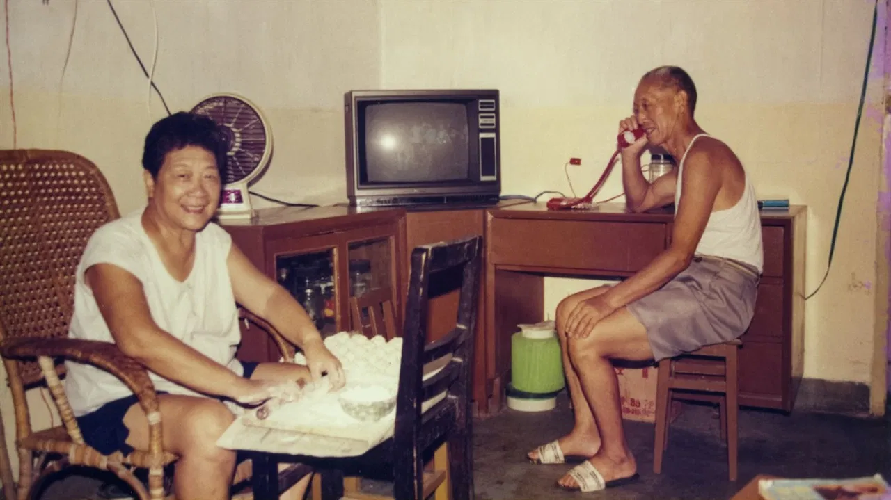 The Gardener and the Dictator backdrop