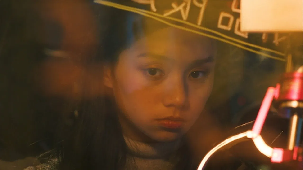 Clamp 1 Get 1 free backdrop