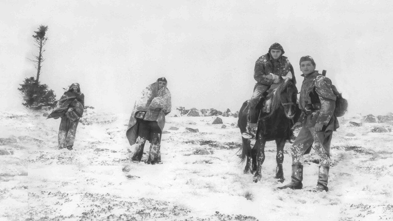 Looking Into the Eyes of the Sun backdrop