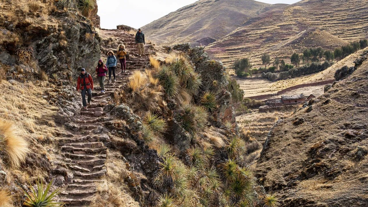 Los Ojos del Camino backdrop