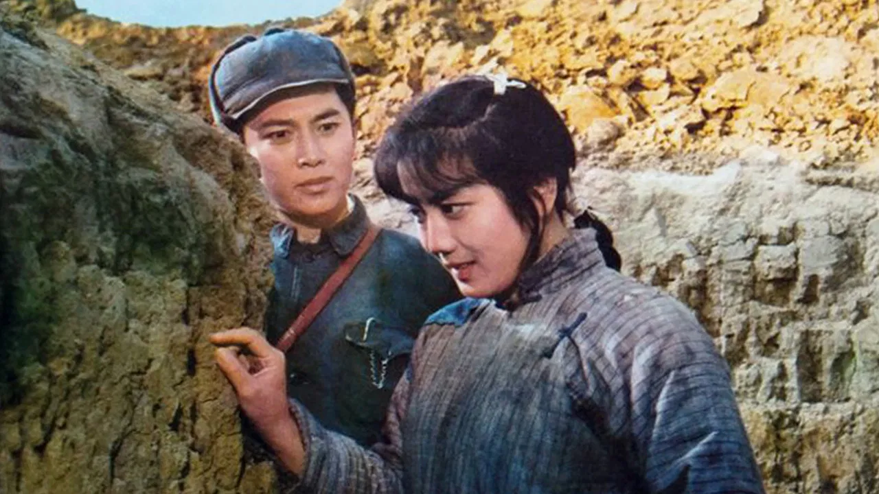 The Stars are Bright Tonight backdrop