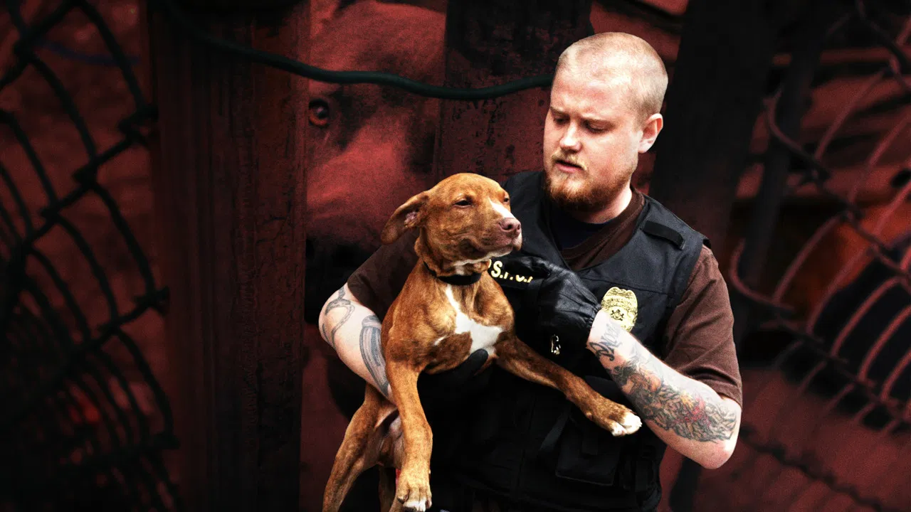 Philly Undercover backdrop