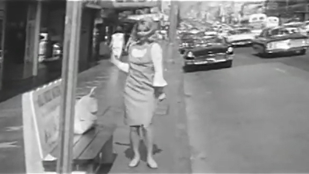 Where's the Bus? backdrop