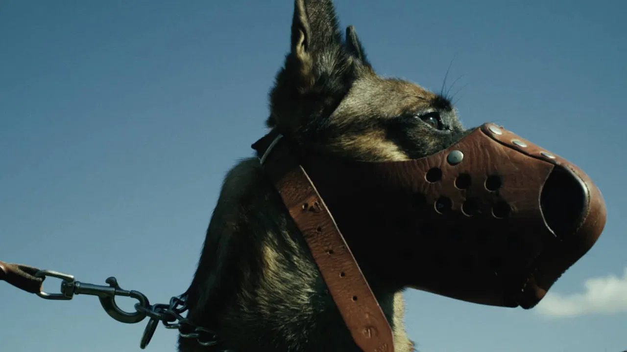 Hundesoldaten backdrop