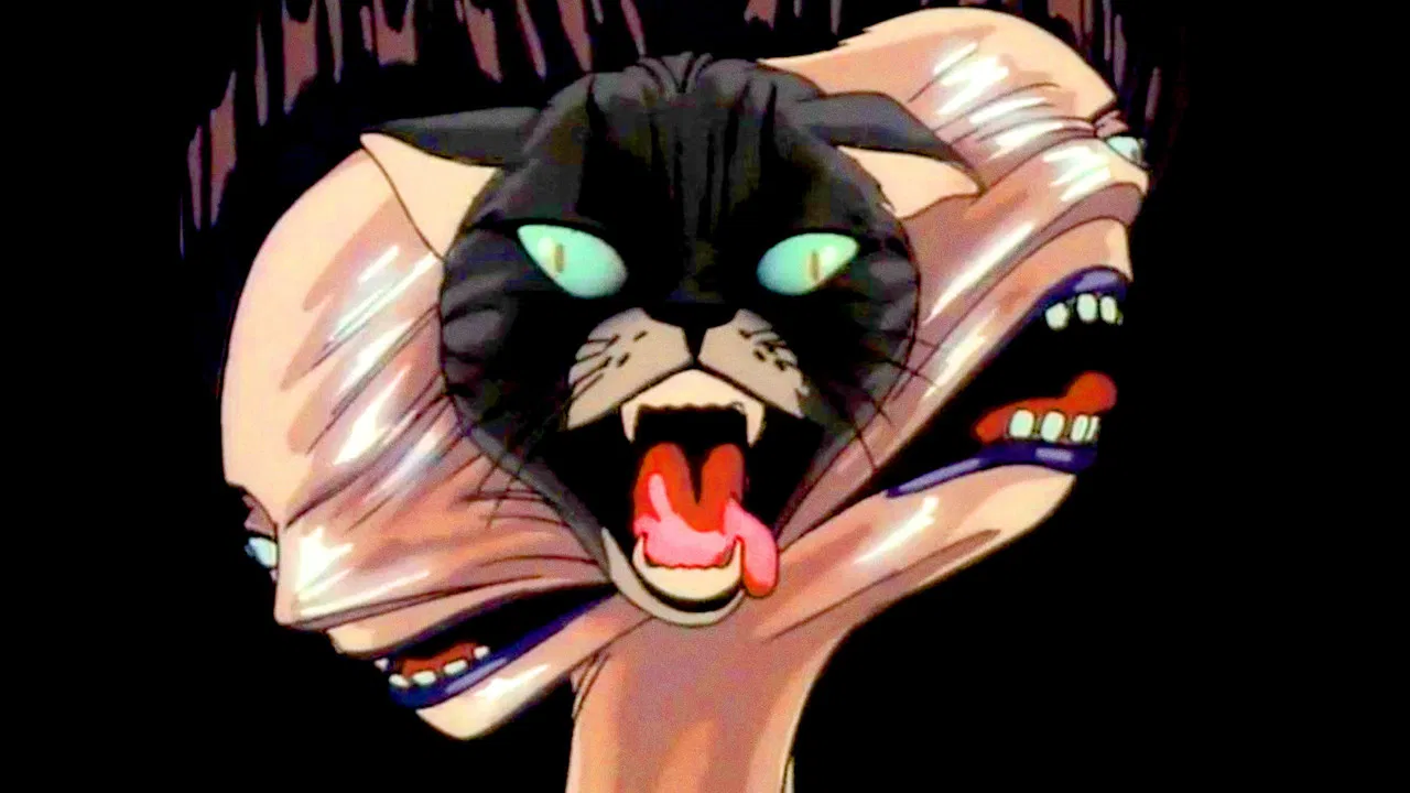 Lily C.A.T. backdrop