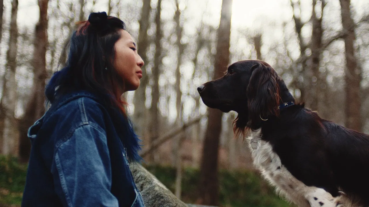 Good Boy Banjo backdrop