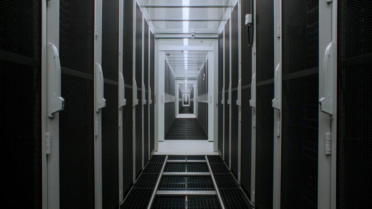 Brute Force backdrop