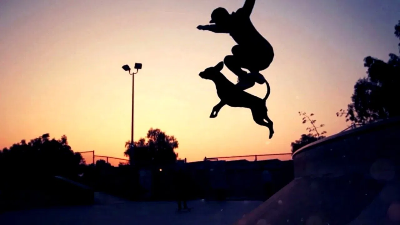 Dogboarding backdrop