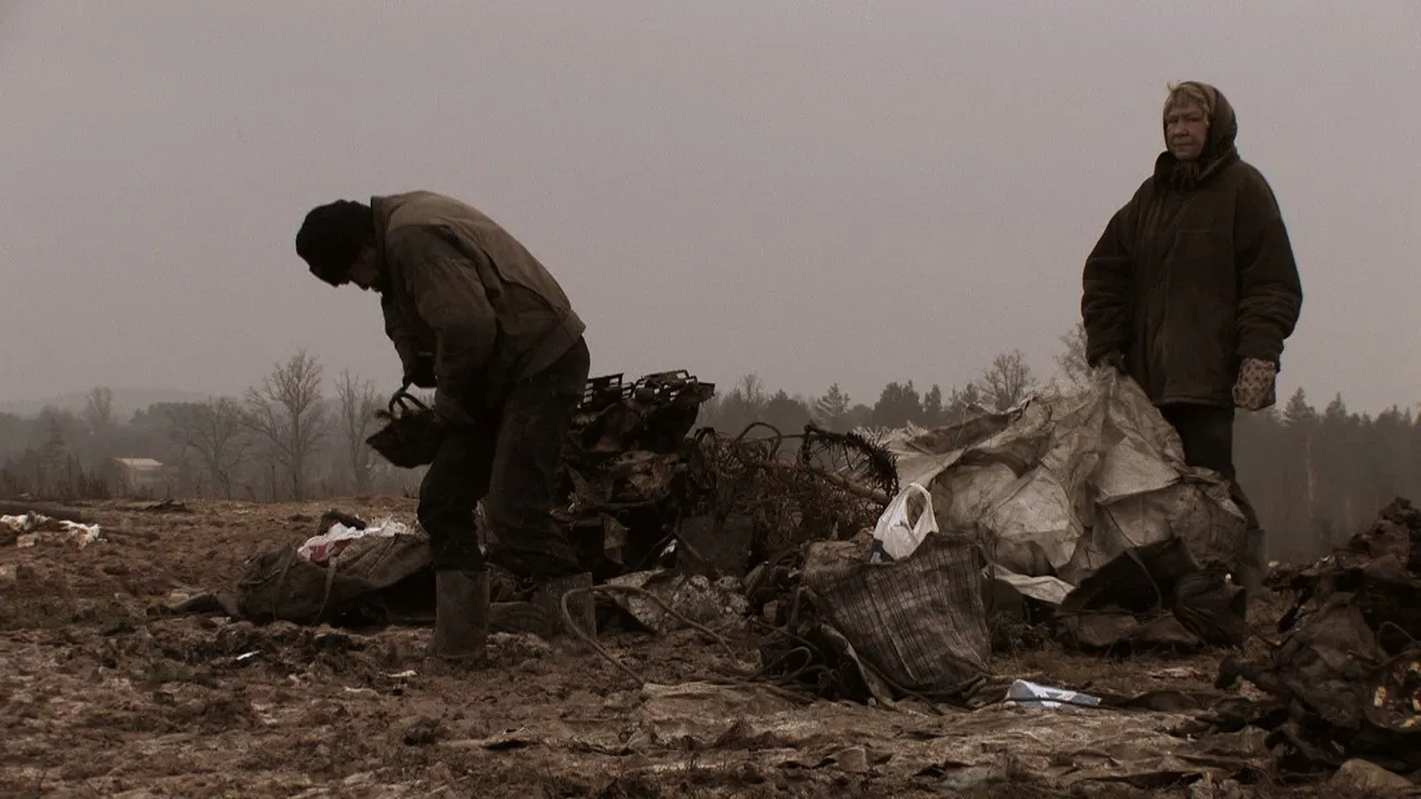 The Field of Magic backdrop