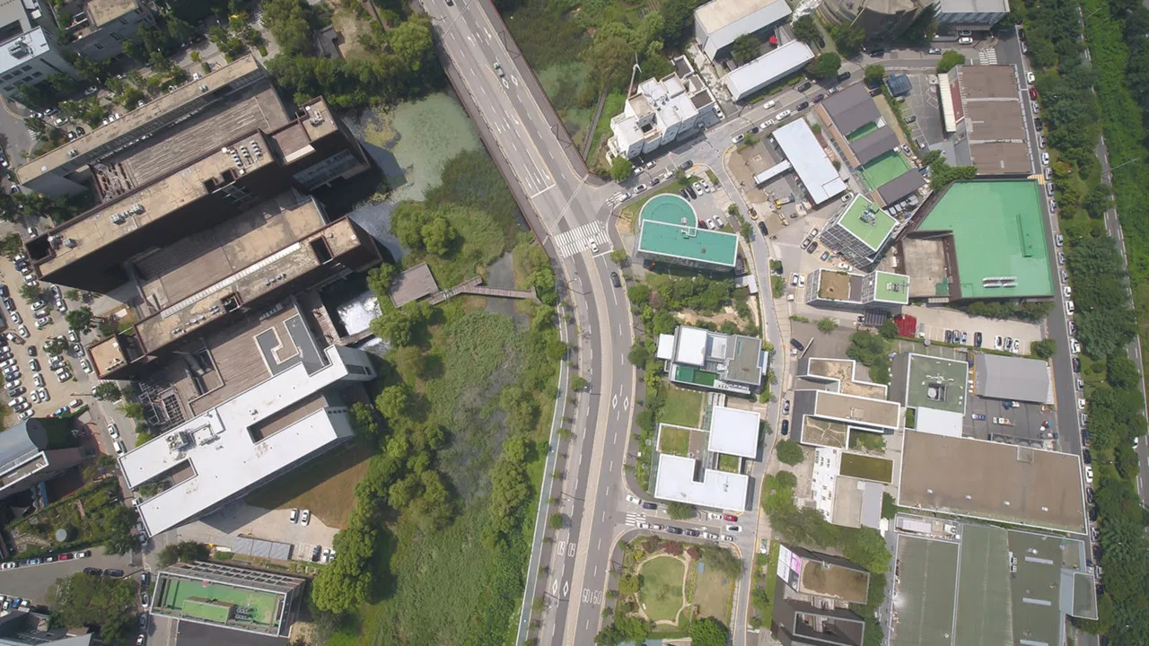 Great Contract: Paju, Book, City backdrop