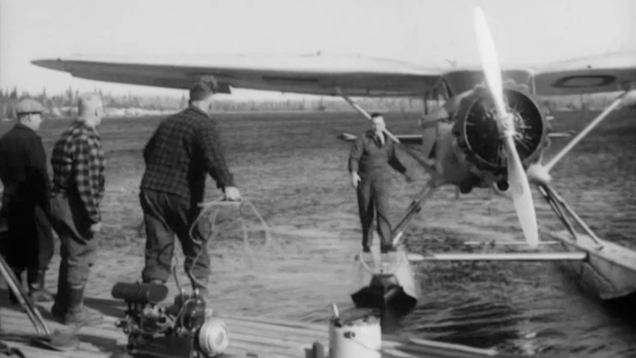 The Forest Commandos backdrop