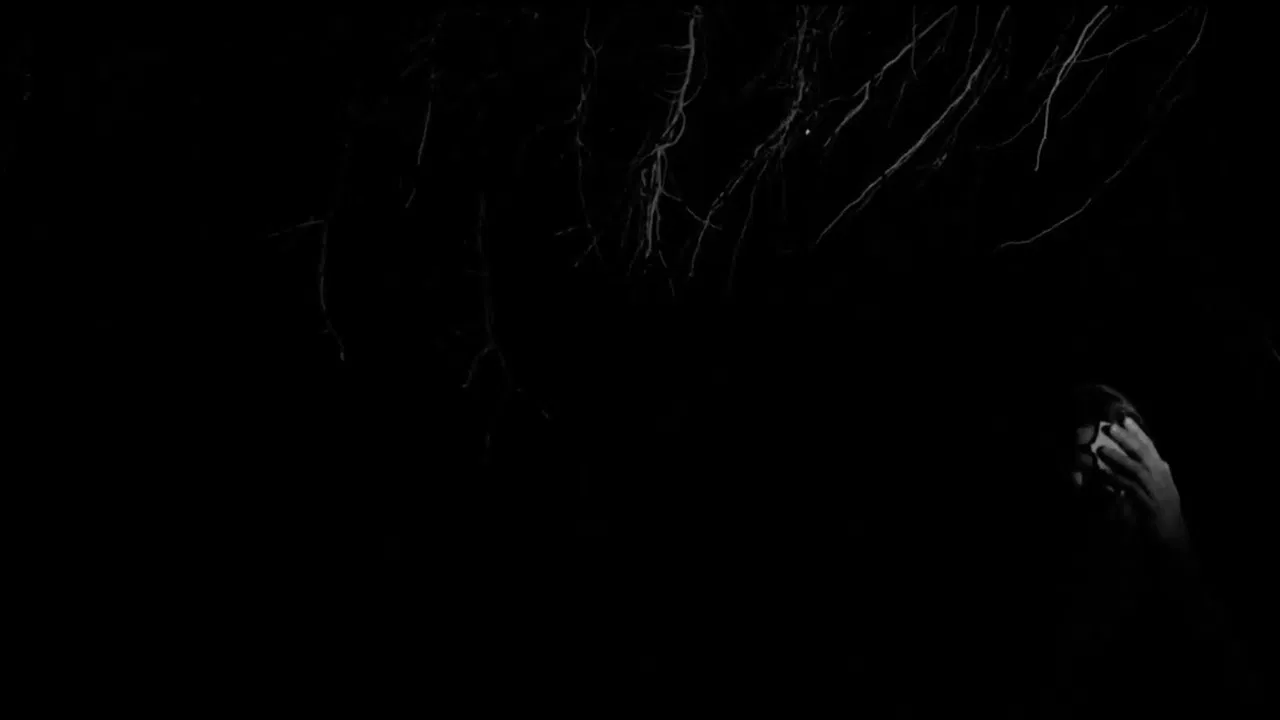 Kintsukuroi or where the trees are born backdrop