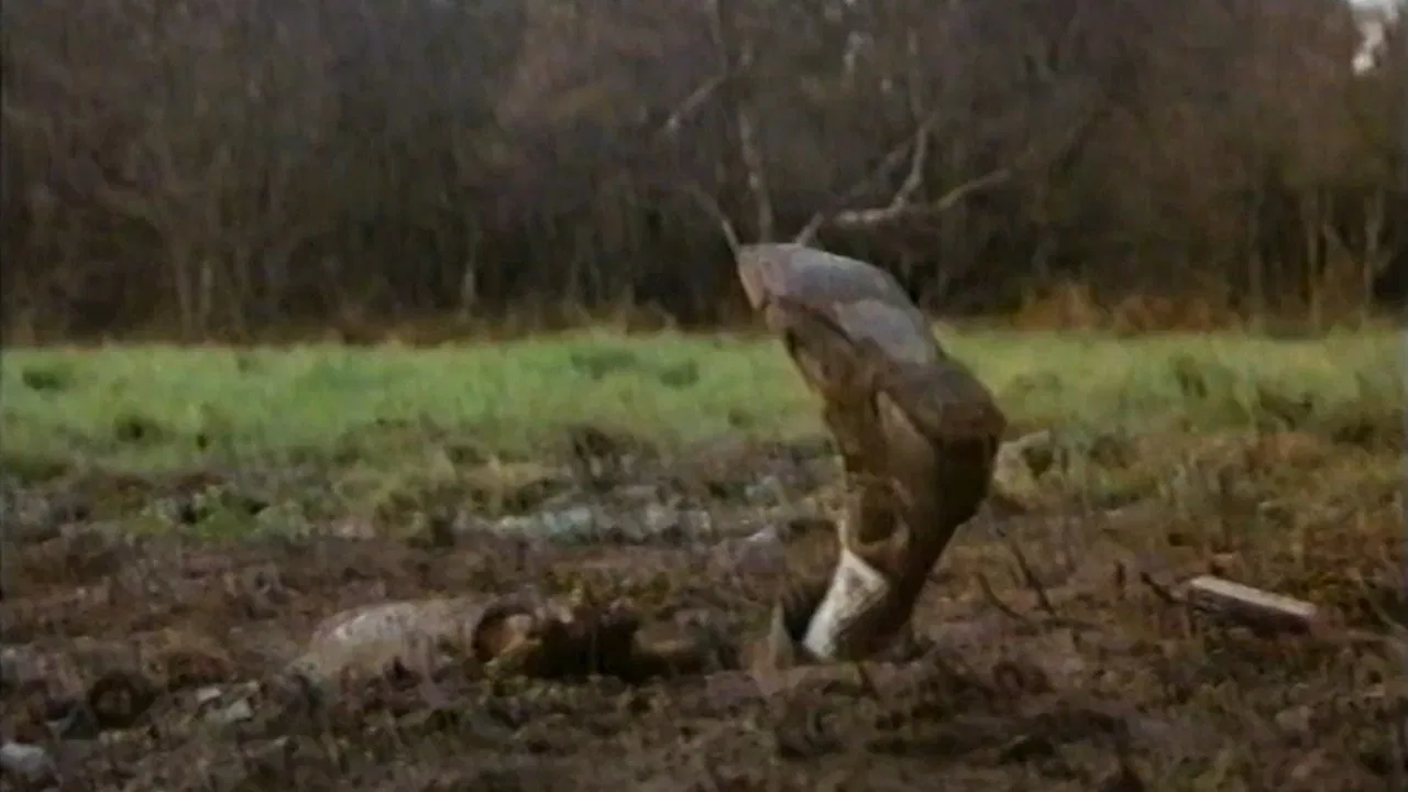 Out of Town backdrop