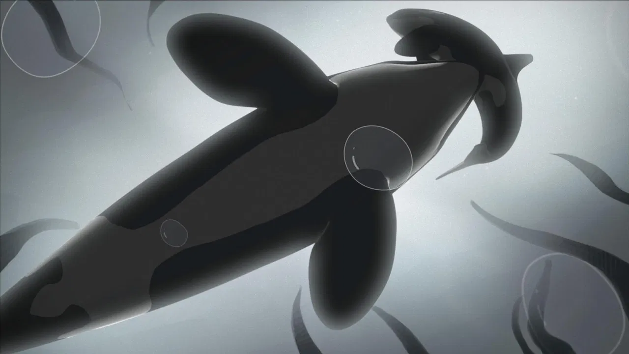 Tahlequah the Whale: A Dance of Grief backdrop