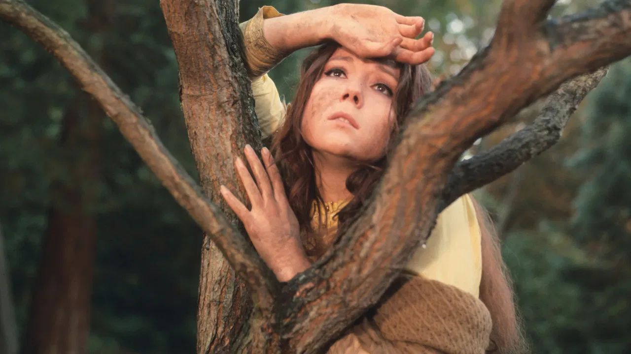 A Midsummer Night's Dream backdrop