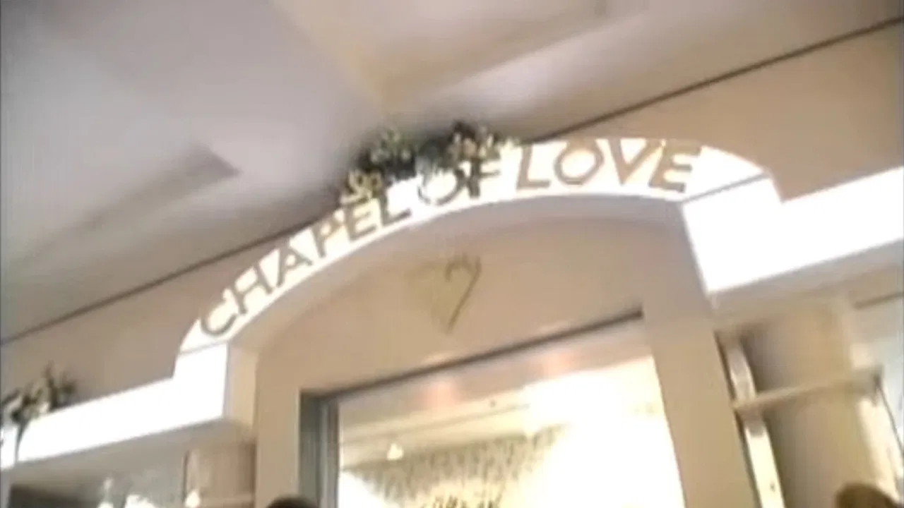 Married at the Mall backdrop