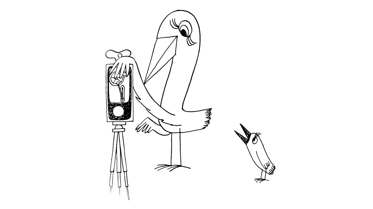 Strange Birds backdrop