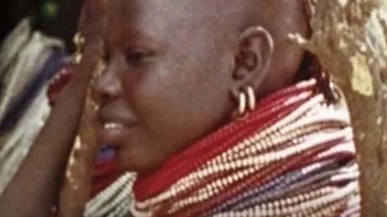 The Wedding Camels backdrop