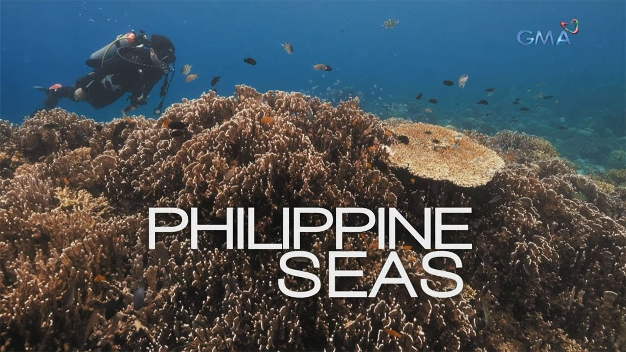 Philippine Seas backdrop