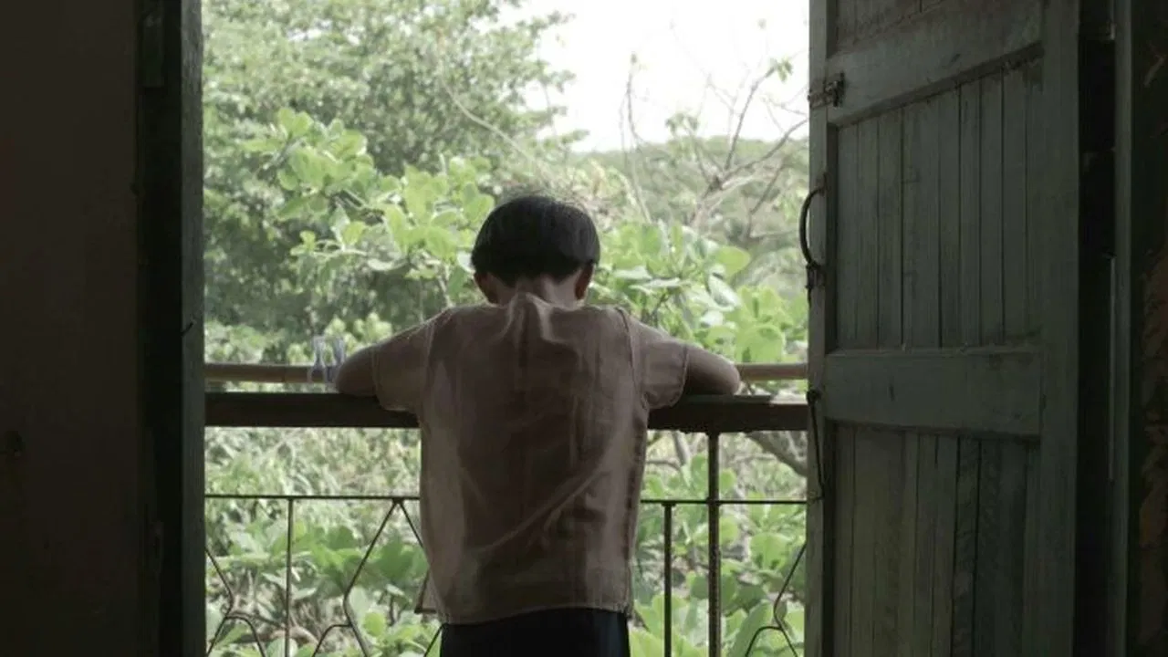 Cobalt Blue backdrop