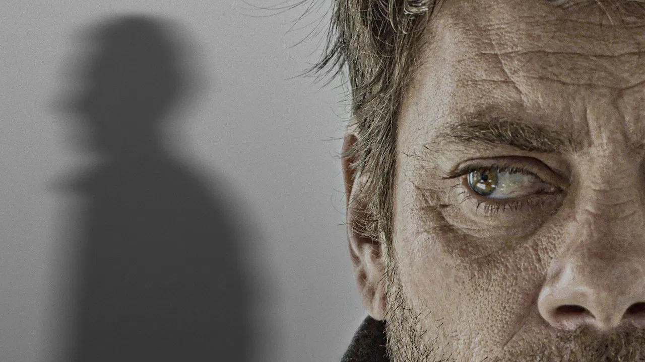 Here Be Dragons backdrop