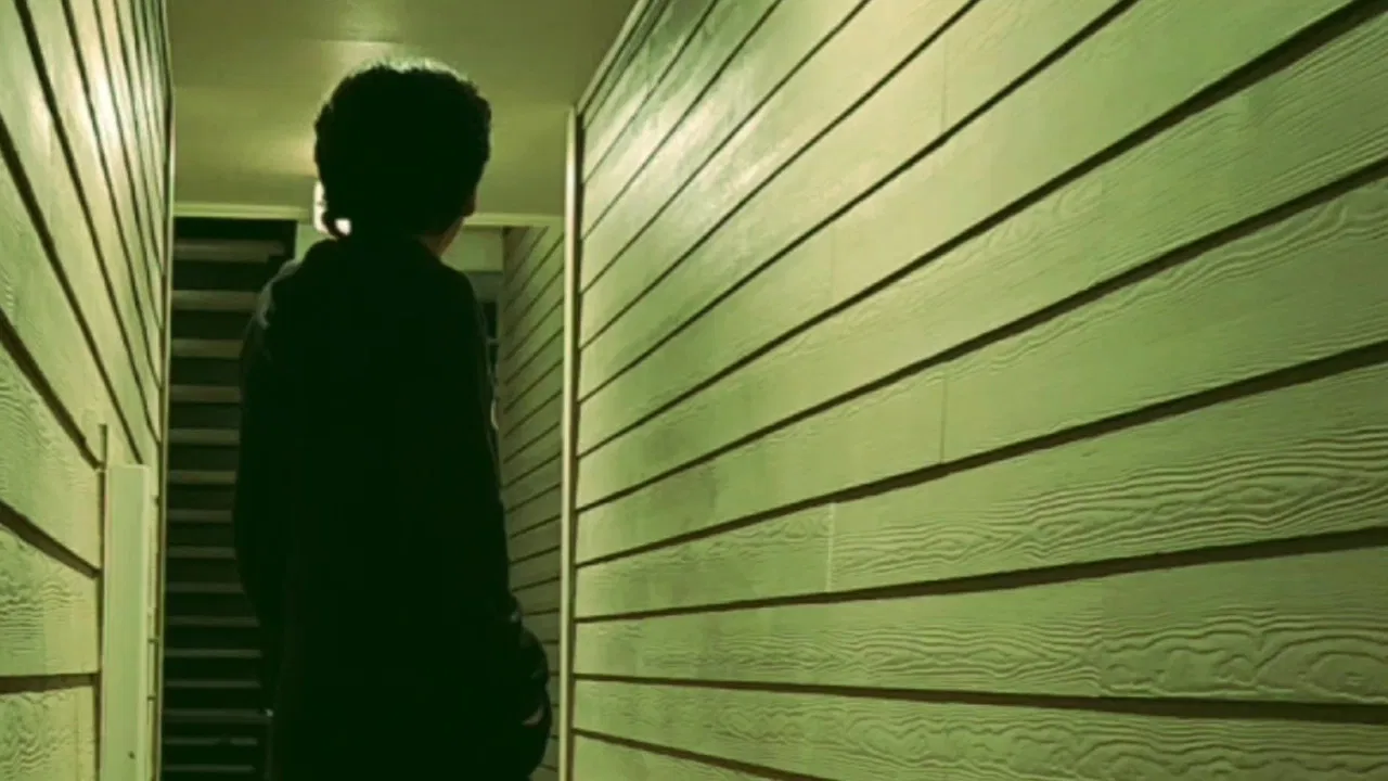 Midnight Walk backdrop