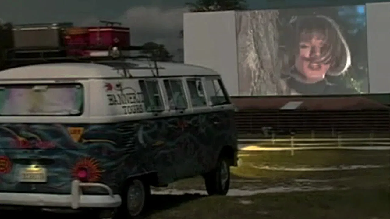 Bollywood and Vine backdrop