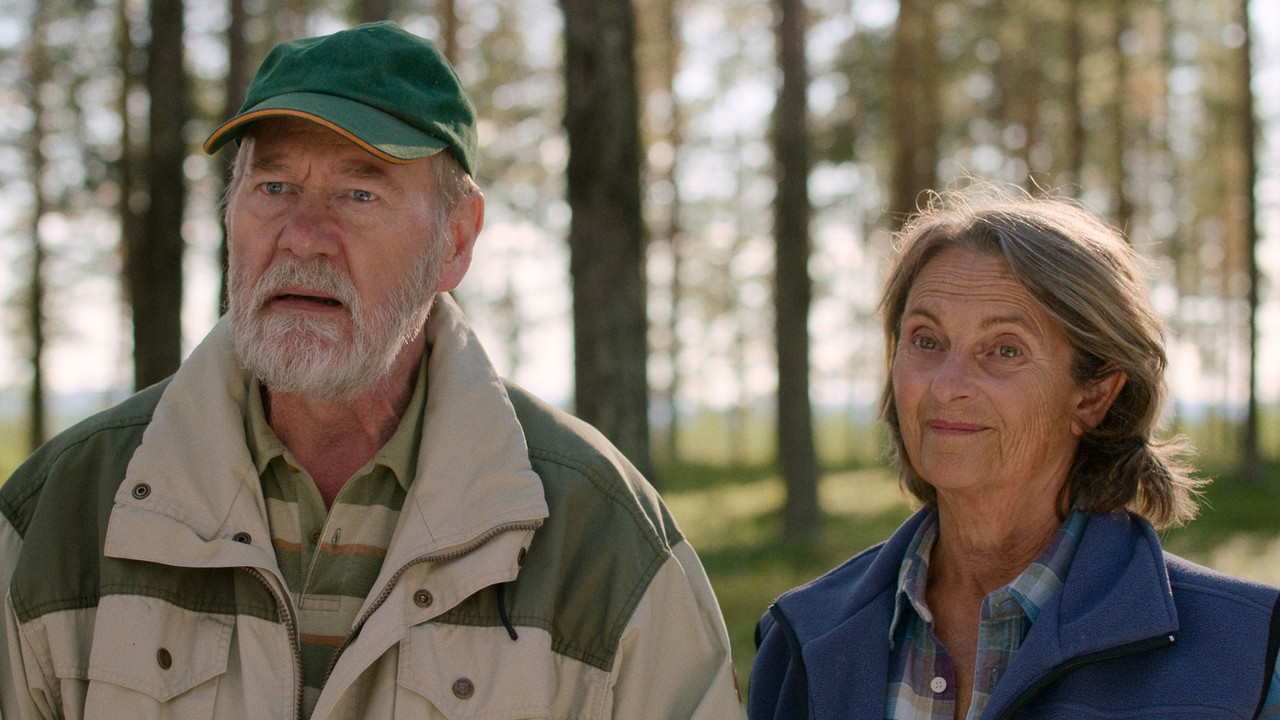 One Day All This Will Be Yours backdrop