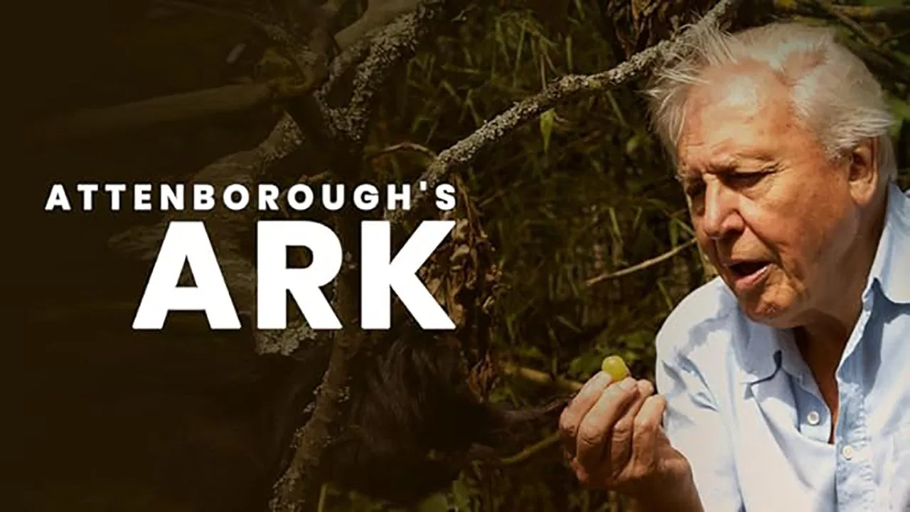 Attenborough's Ark backdrop