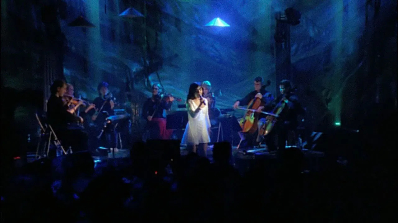 Björk: Cambridge 1998 backdrop