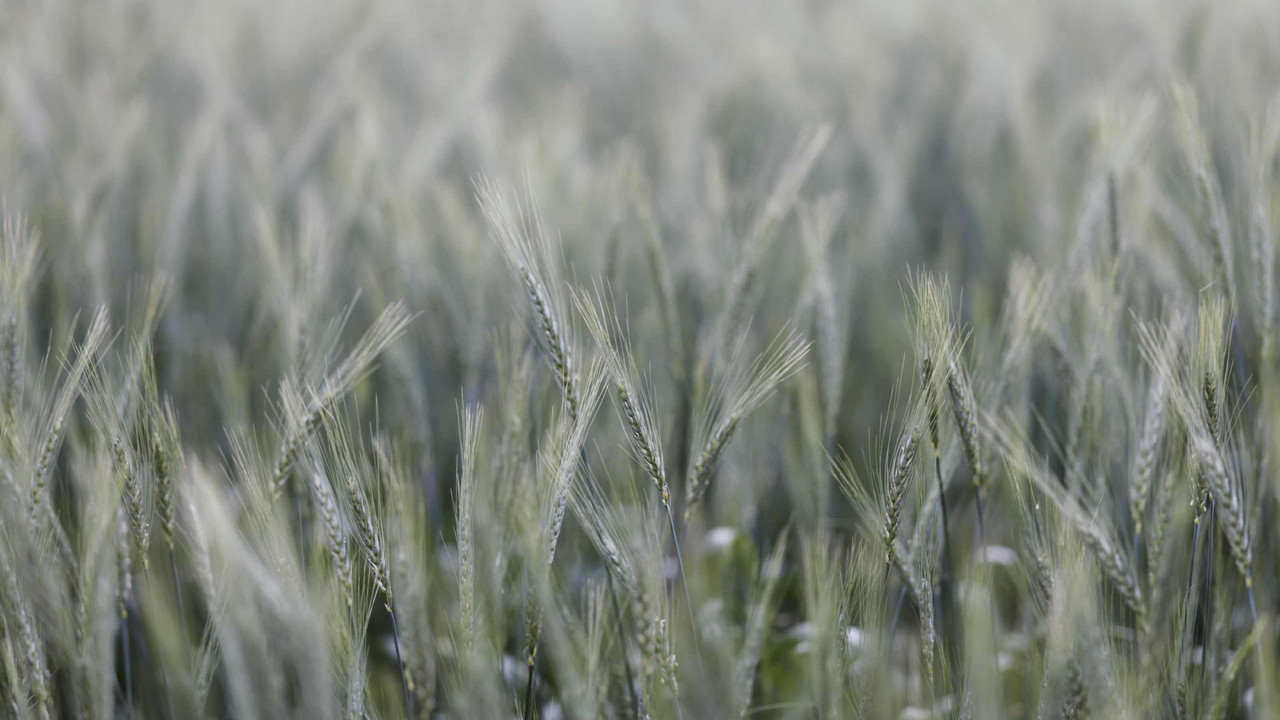 Pour nous chez nous backdrop