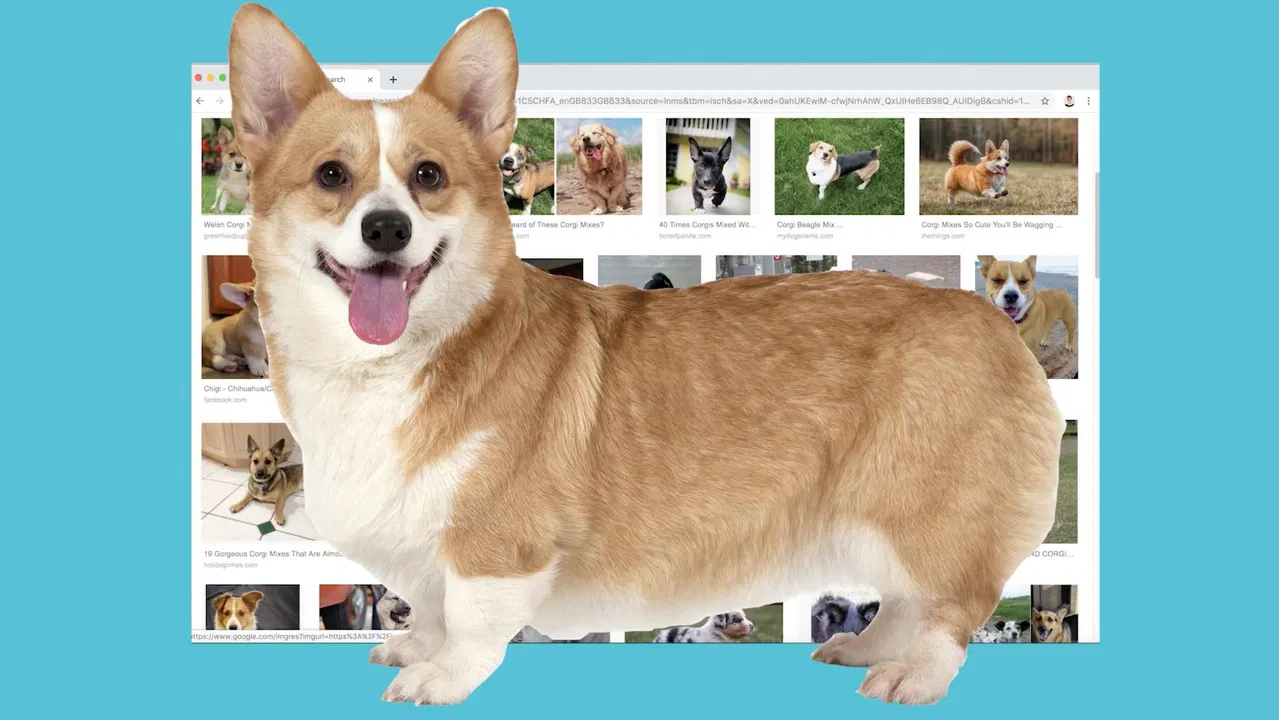 The Funniest Thing backdrop