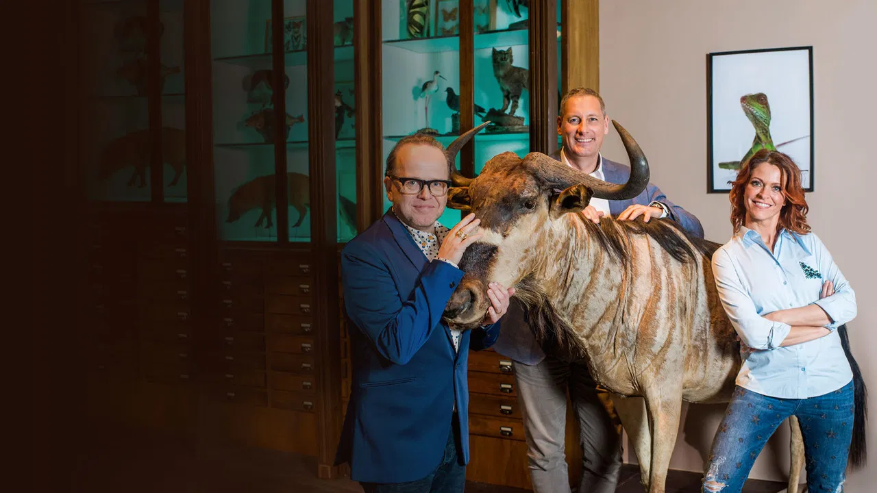 Het zijn net mensen backdrop