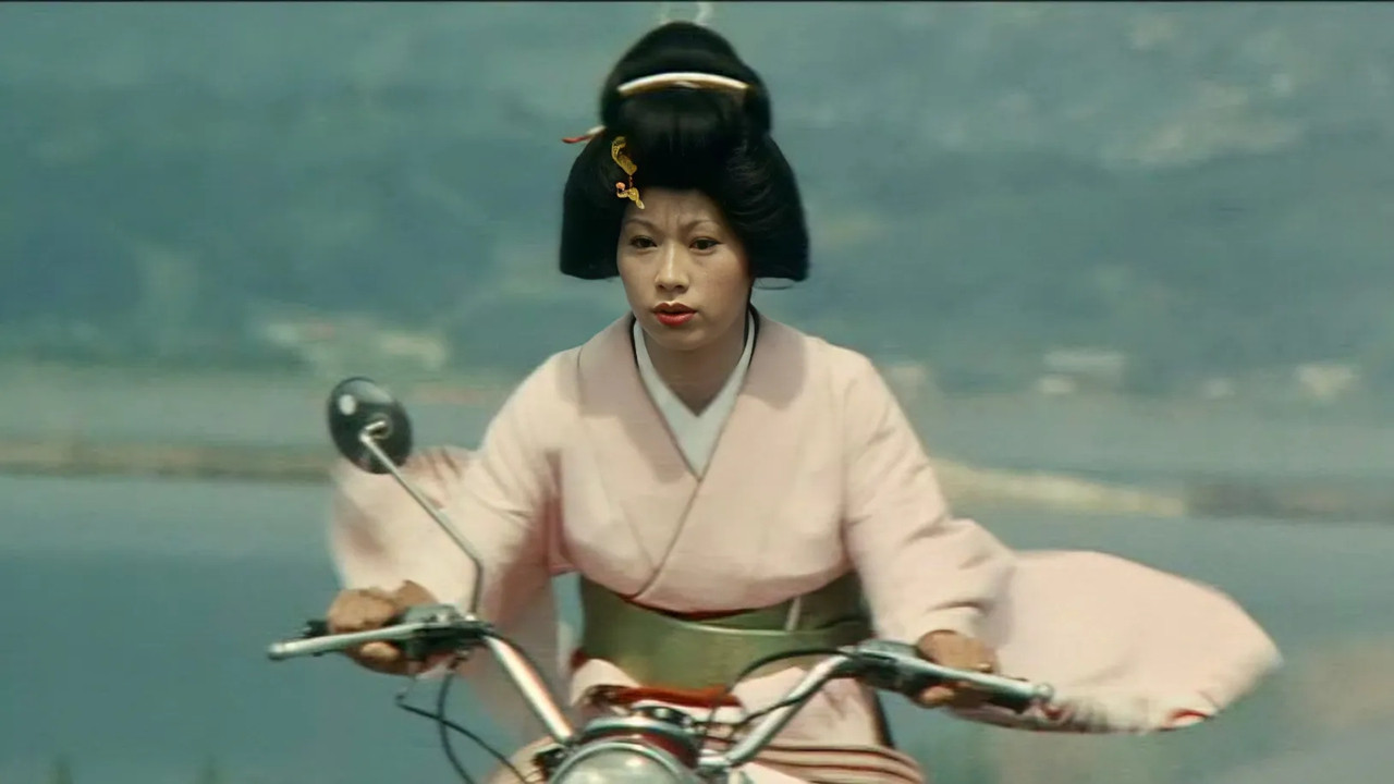 Turtle Geisha backdrop