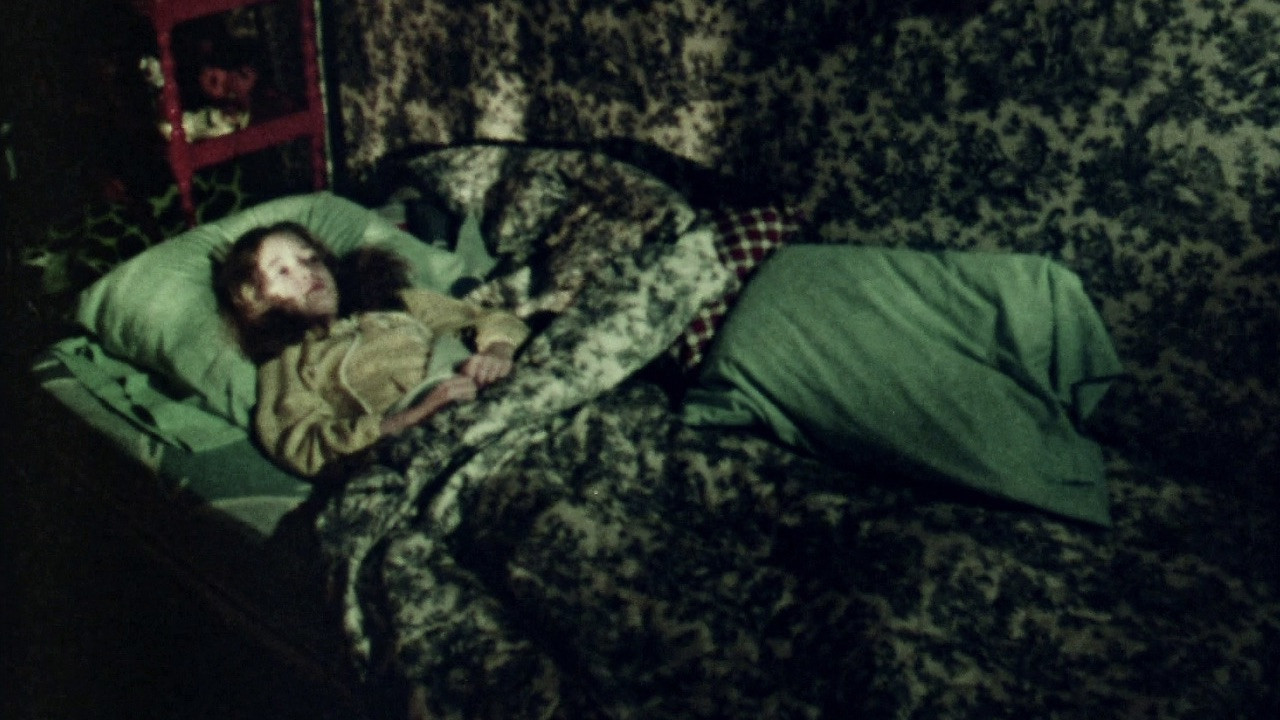 Yours Truly, Andrea G. Stern backdrop