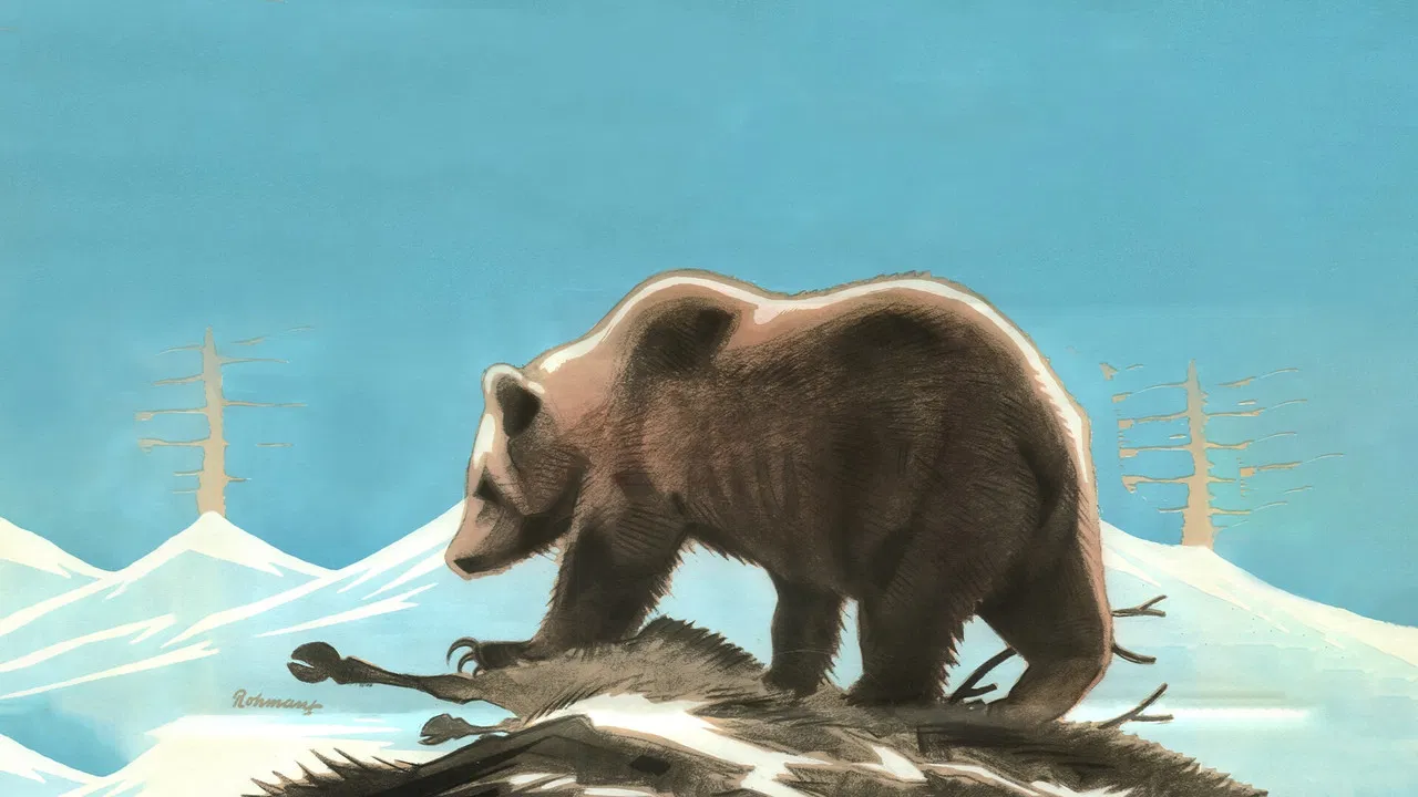 In the Kingdom of the Lapland Bear backdrop