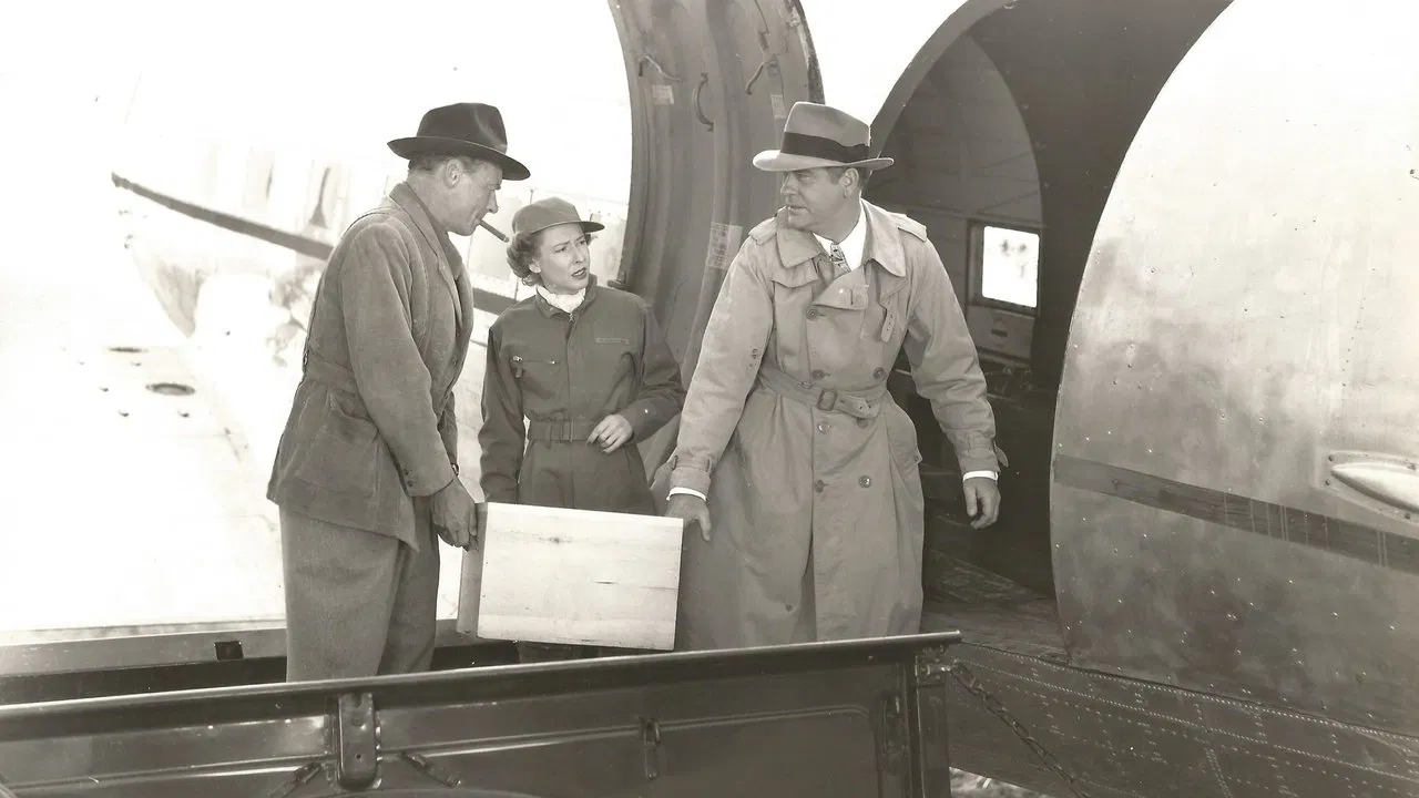 Daredevils of the Clouds backdrop